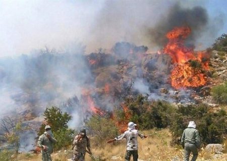 تشکل‌های مردمی علت آتش سوزی در مناطق زیست محیطی فارس را پیگیری می‌کنند