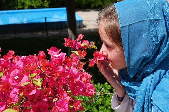 نمایش مستندی در خصوص سفر دختر ۱۰ ساله آلمانی به شیراز