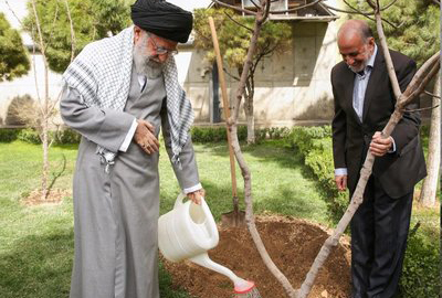 آیت الله خامنه‌ای: مسئولان مانع از بین رفتن درختان در شهرها شوند
