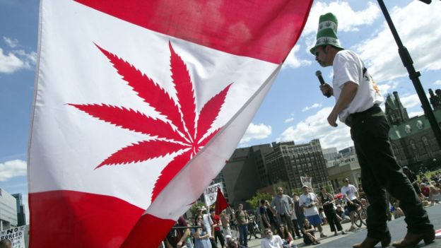 مصرف تفریحی ماریجوانا در کانادا آزاد می‌شود