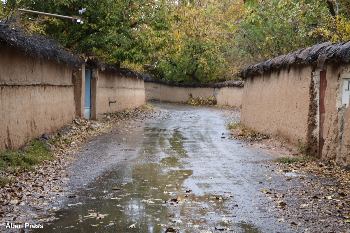 آلبوم عکس؛ آذر بارانی شیراز
