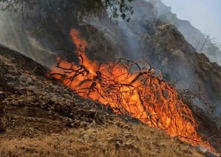 آتش‌سوزی در ۱۰ هزار هکتار از عرصه‌های طبیعی فارس؛ ۸ نفر بازداشت شدند