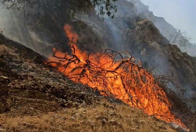 آتش‌سوزی در ۱۰ هزار هکتار از عرصه‌های طبیعی فارس؛ ۸ نفر بازداشت شدند