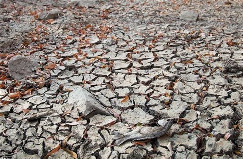 ۹۵.۷ درصد مساحت استان فارس تحت تاثیر خشکسالی قرار دارد
