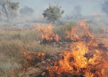 دستگیری عاملان آتش‌سوزی در ارتفاعات جنگلی فیجان ارسنجان
