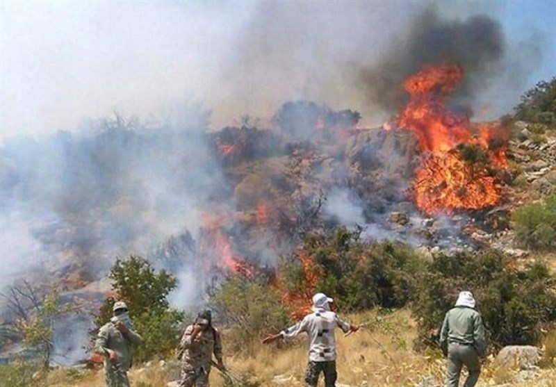 تشکل‌های مردمی علت آتش سوزی در مناطق زیست محیطی فارس را پیگیری می‌کنند