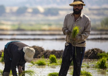 طرح گردشگری کشاورزی در استان فارس کلید خورد