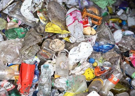 مدیرکل محیط زیست فارس: ورودی‌های شیراز انباشته از پسماند و زباله است