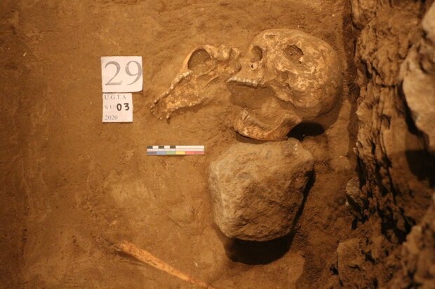 سرنوشت استخوان‌های باستانی تخت‌جمشید، نامعلوم در پیچ‌وخم‌ اداری