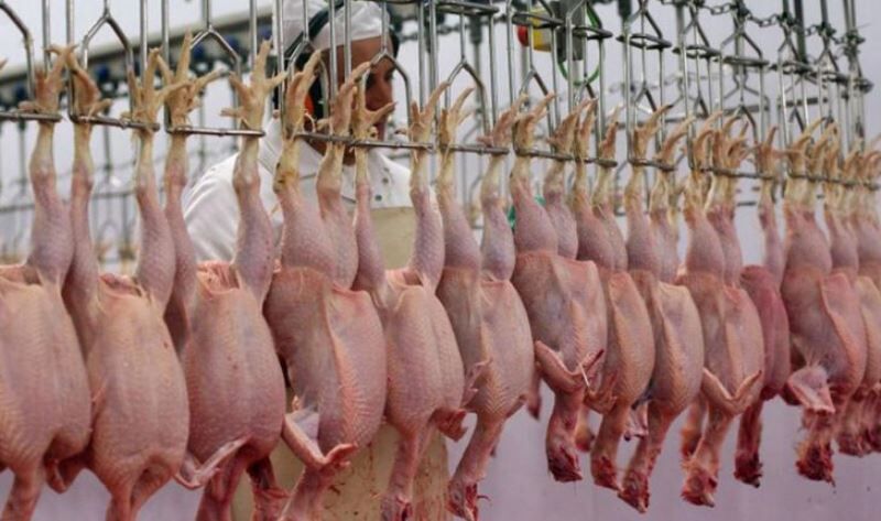 جهاد کشاورزی فارس:‌۷۰ دلال گوشت مرغ در فارس شناسایی شدند