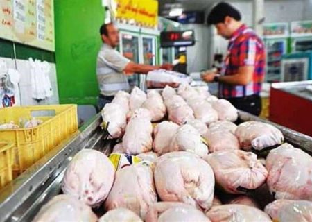 جهاد کشاورزی استان: فارس رکورد عرضه روزانه مرغ را شکست