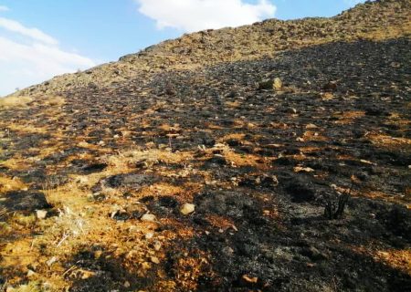 ۱۸۰ هکتار از طبیعت هنگام فارس در آتش نابود شد