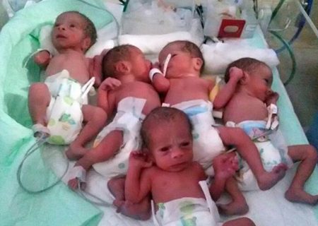پنج قلوها در شیراز به دنیا آمدند