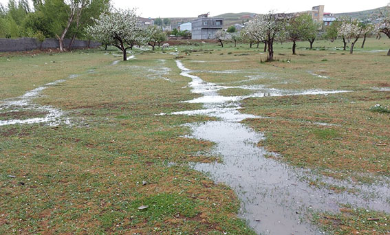 باران امسال ۶۶ درصد در فارس کمتر بارید