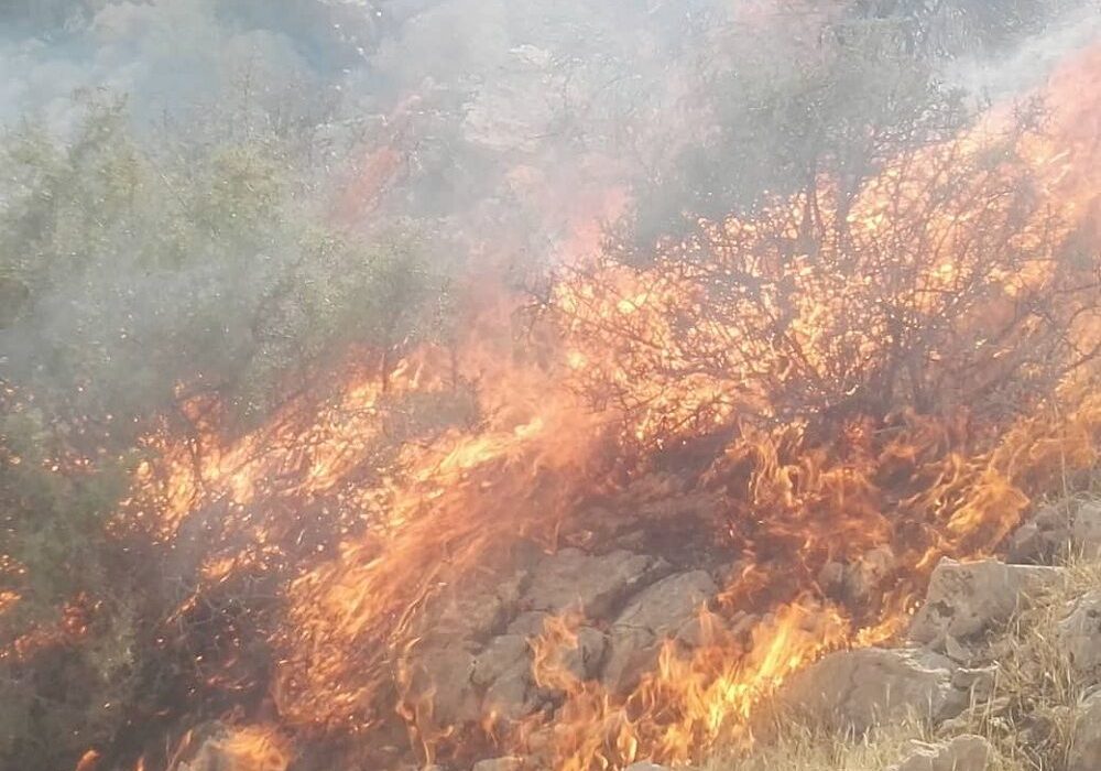 کوه برز فیروزآباد فارس در آتش می‌سوزد