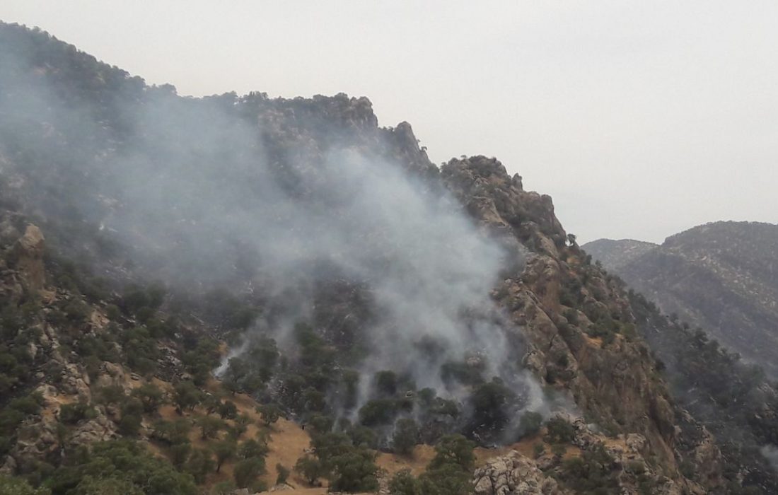 آتش‌سوزی کوه برز فیروزآباد فارس مهار شد
