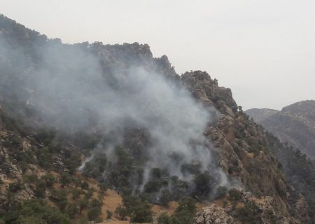 آتش‌سوزی کوه برز فیروزآباد فارس مهار شد