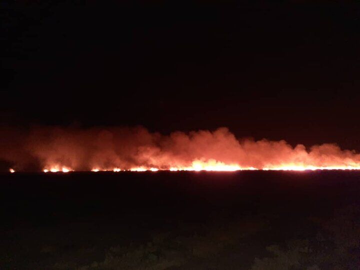 شعله‌های آتش مناطقی از پارک ملی بمو شیراز را در بر گرفت