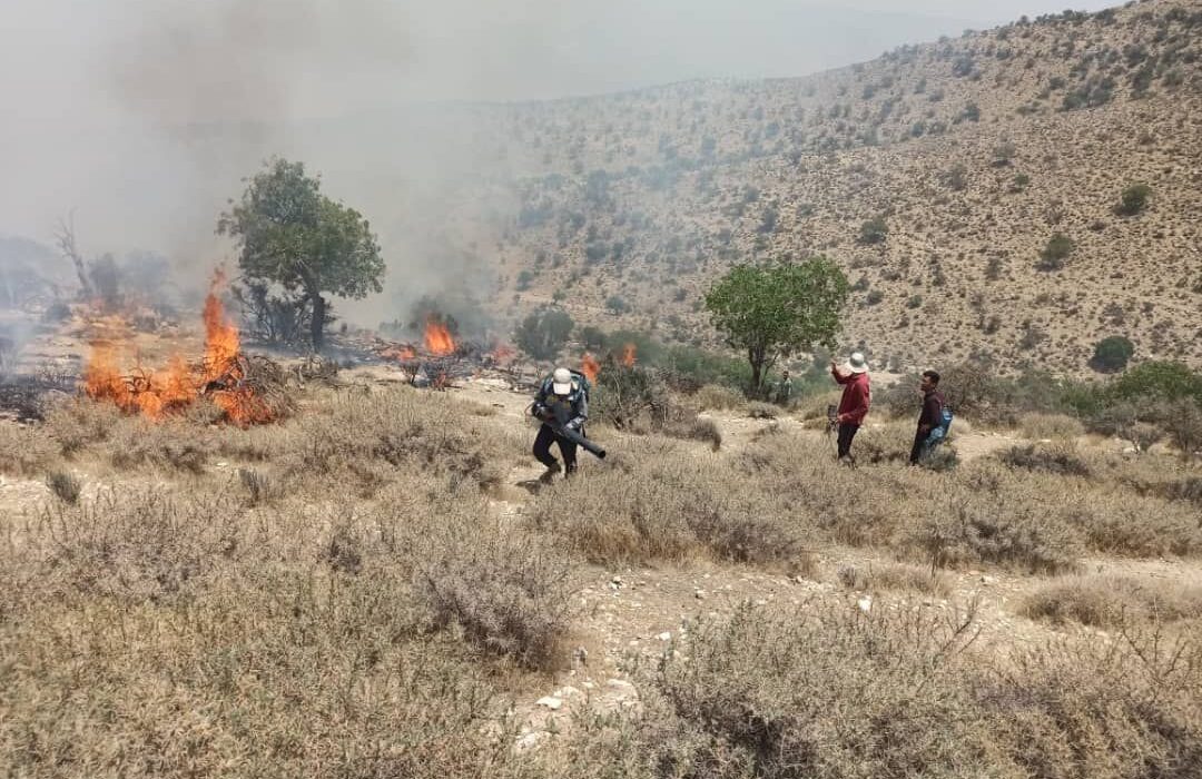 آتش ارتفاعات فیروزآباد فارس را فرا گرفت