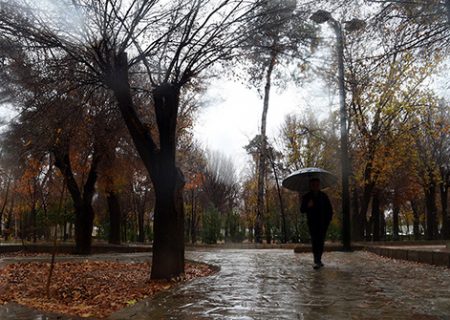 افزایش نسبی میزان بارندگی‌ها در فارس