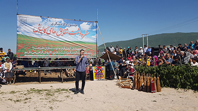 «جشنواره شقایق‌ها» بهانه‌ای دل‌انگیز برای رونق گردشگری کالپوش میامی
