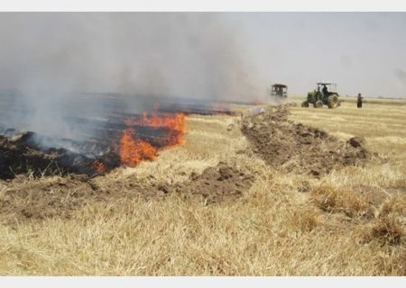 احیای آتش بُرها در مناطق محیط زیست فارس برای مقابله با آتش سوزی