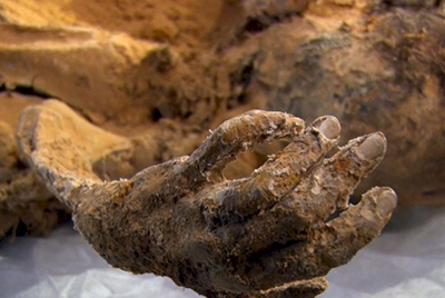 اجساد تاریخی کشف‌شده، در موزه تاریخ و تمدن زواره آرام می‌گیرند