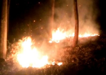 ۳ منطقه جنگلی و مرتع در استان فارس دچار آتش‌سوزی شد