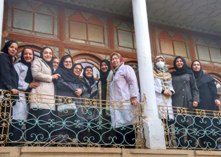 هنرمندان استان فارس با برنامه‌های آموزشی آینده درخشانی خواهند داشت