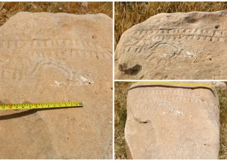 کشف سنگ نگاره پیش از تاریخ در کازرون