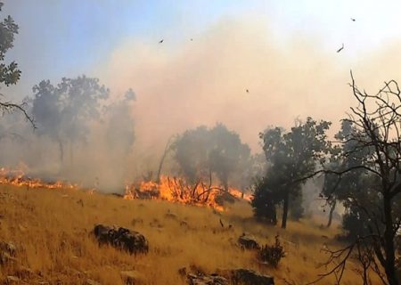 آتش‌سوزی در مراتع و جنگل‌های اطراف کوه‌های قرداش فراشبند
