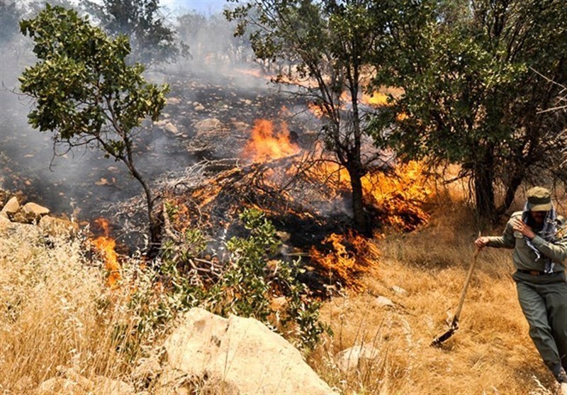 مهار آتش‌سوزی در مزارع افزر فارس