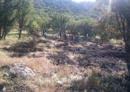 آتش سوزی در ارتفاعات چشمه غوره‌دان بیضا