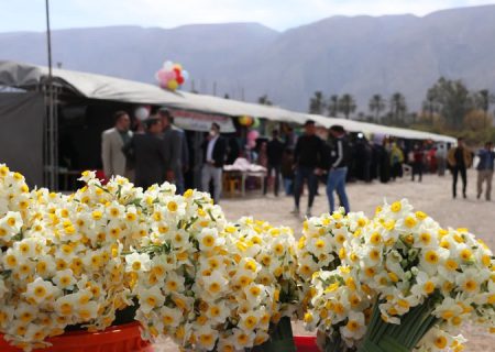 ثبت رویداد جشنواره گل نرگس فارس