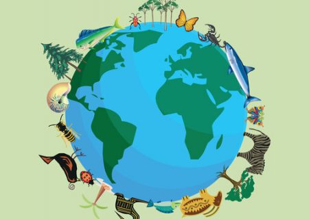 نخستین کنفرانس تنوع زیستی در فارس برگزار می‌شود
