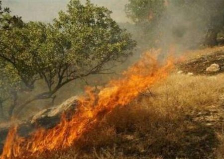 آتش‌سوزی در ارتفاعات سبزپوشان شیراز