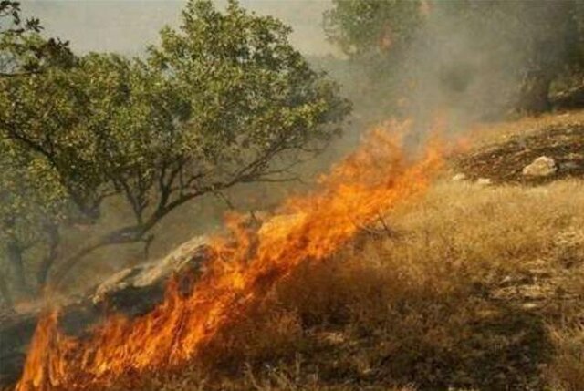 آتش‌سوزی در ارتفاعات سبزپوشان شیراز