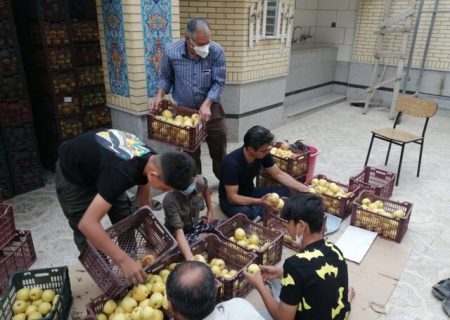 توزیع ۲۰ تن مرکبات بین اقشار نیازمند در شیراز