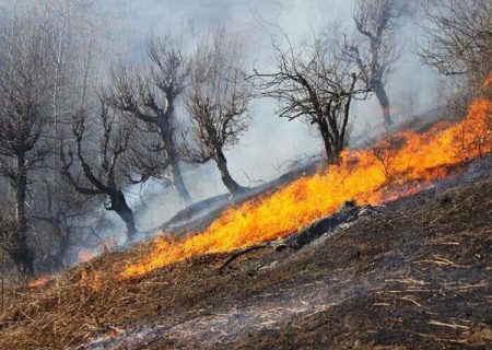 آتش سوزی پارک ملی بمو مهار شد