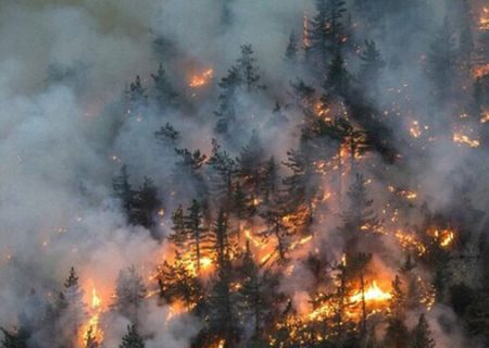 مهار آتش‌سوزی منطقه حفاظت‌شده ماله‌گاله