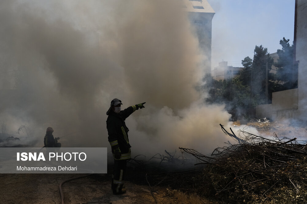 باغ فرزانه شیراز باز هم آتش گرفت