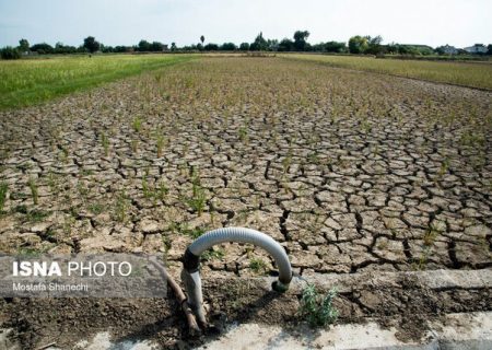 خسارت ۴۱ هزار میلیارد ریالی خشکسالی به کشاورزی فارس