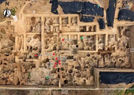 اعلام جزئیات طراحی و قابلیت‌های سامانه جامع نقشه باستان‌شناسی کشور در دانشگاه تهران