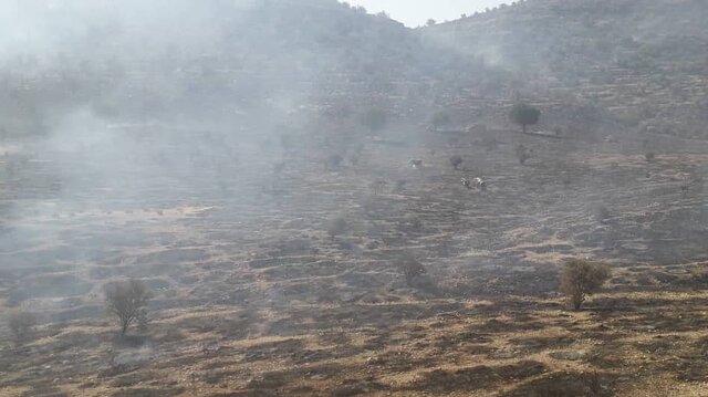 شناسایی عاملان آتش‌سوزی کوه بیل فارس