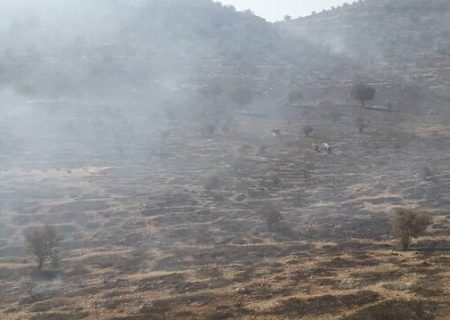 مهار آتش سوزی منطقه مروارید داراب