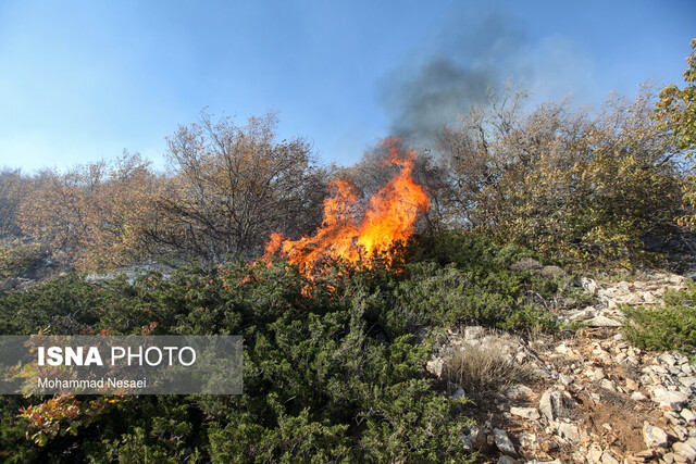 وقوع آتش سوزی در سیاخ دارنگون شیراز