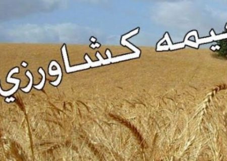 افزایش ۱۰۰ درصدی بیمه کشاورزی در شیراز