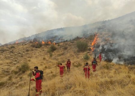 آتش سوزی ارتفاعات دراک شیراز مهار شد