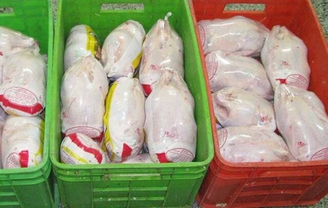 آغاز توزیع مرغ منجمد ۲۰ هزار تومانی در فارس