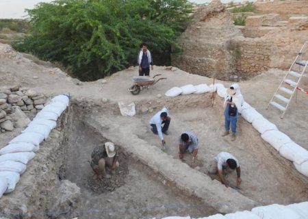 تصمیم‌های تازه برای پژوهش‌های باستان شناسی ایران